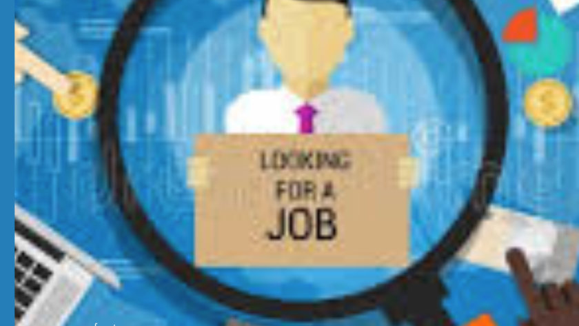 Employment Verification Background Check