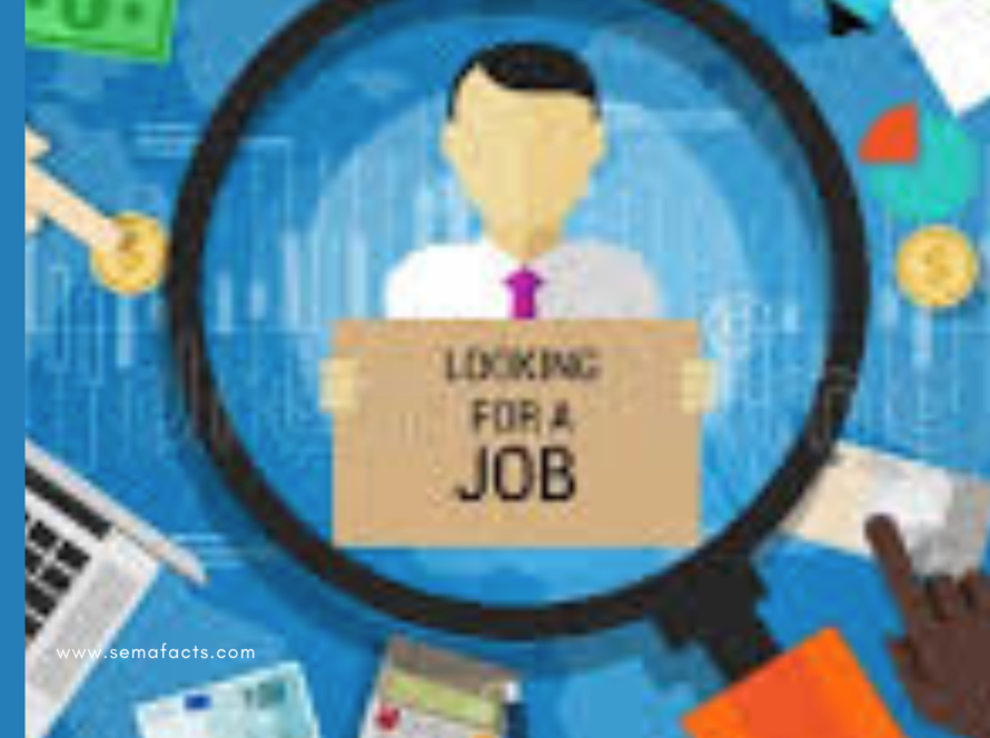 Employment Verification Background Check